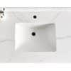 Carrera Quartz Counter Top -Tesoro-Single-Sink-Shaker-Bathroom-Vanity-With-Quartz-Countertop-MDF-